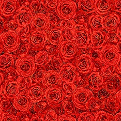 Red - Winter Rose